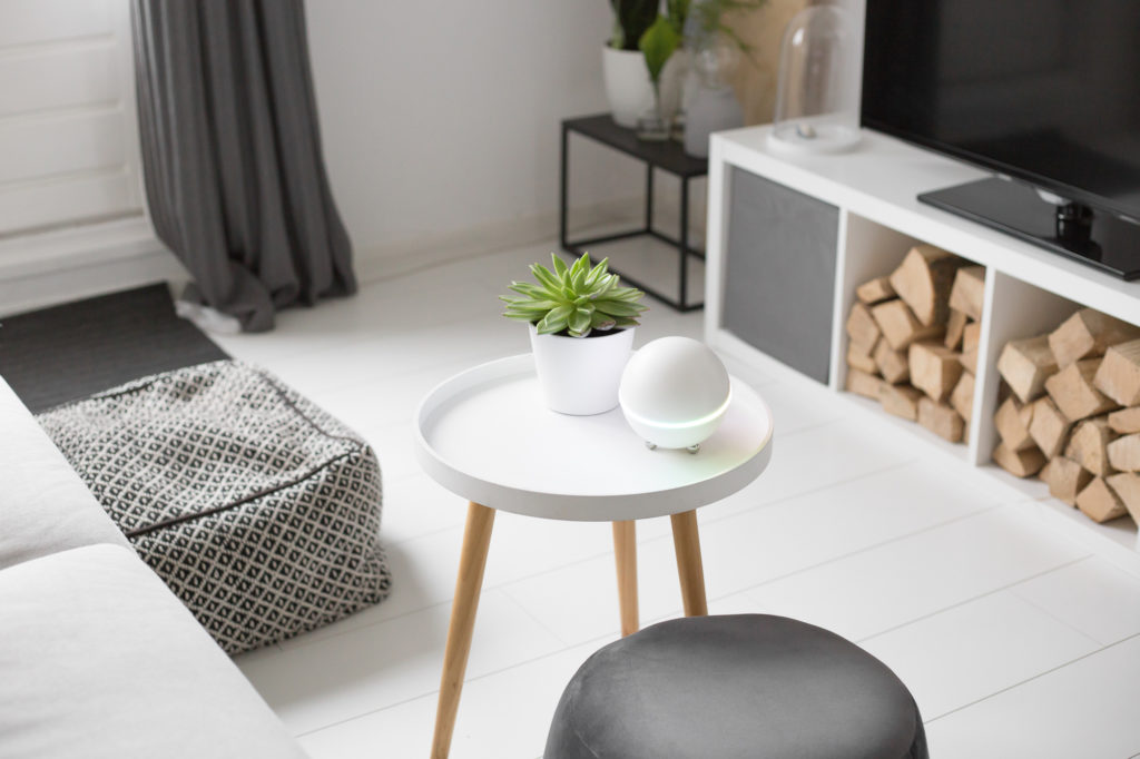 Homey vs. Animus Heart - Smart home system comparison