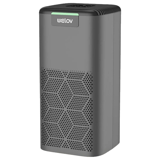 AiDot Welov P200 Pro Air Purifier