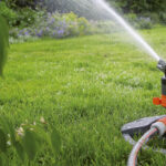 Automate Your Garden and Plant Care with Homey