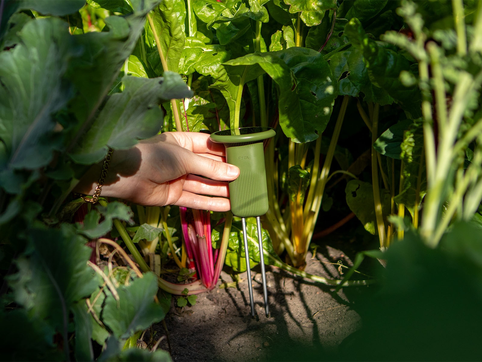 FYTA Works with Homey