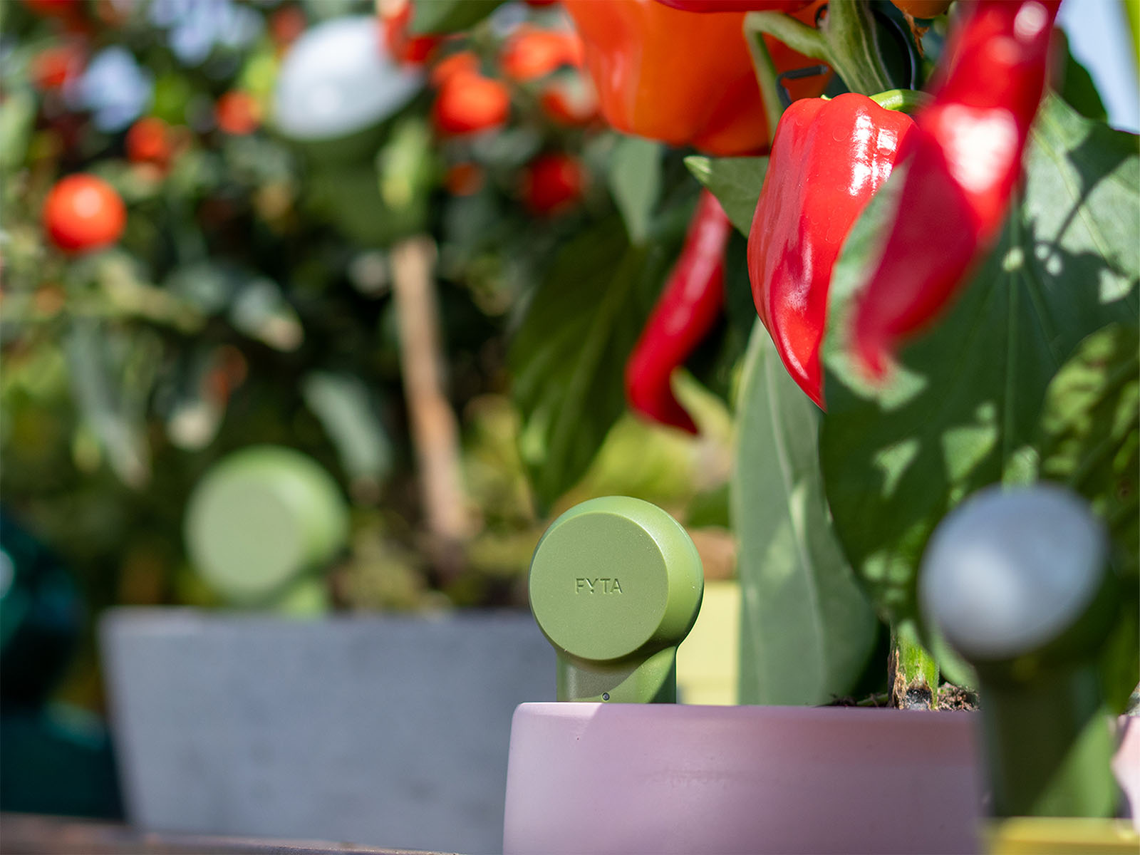 FYTA Works with Homey