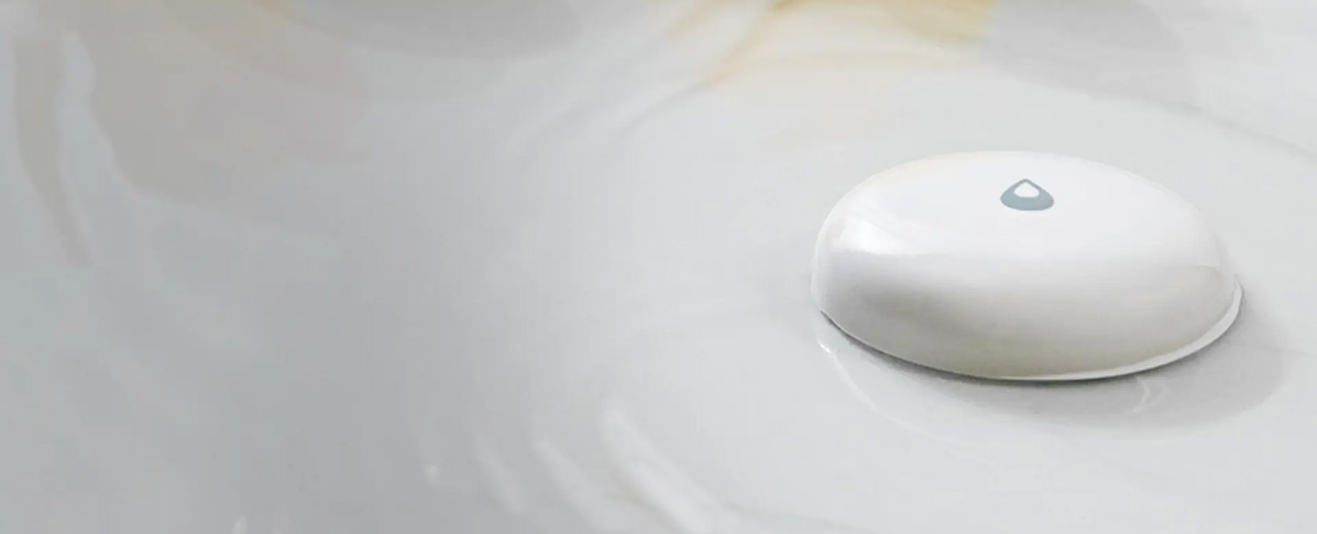 Protect Your Home from Leaks and Floods with Homey Heo Image