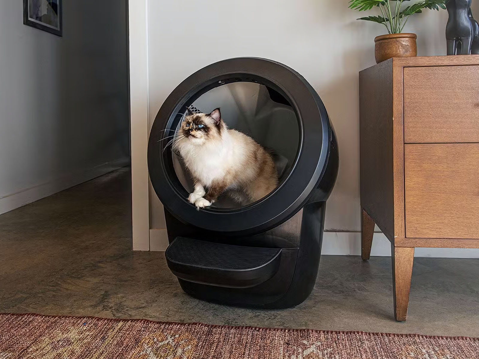 Whisker Litter Robot 4 Works with Homey