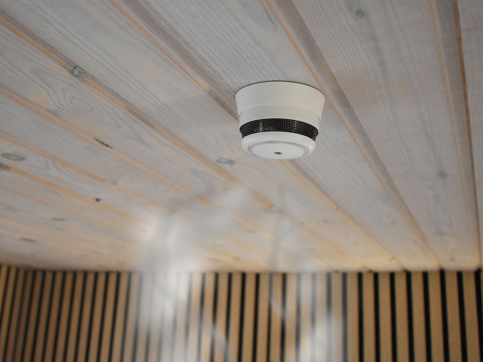 Frient Intelligent Smoke Alarm