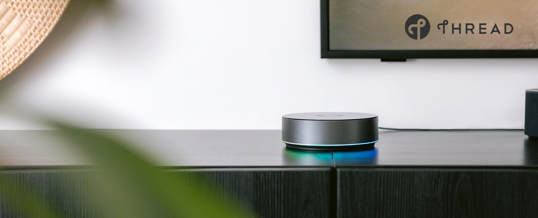 Homey Pro Thread Logo Hero Image