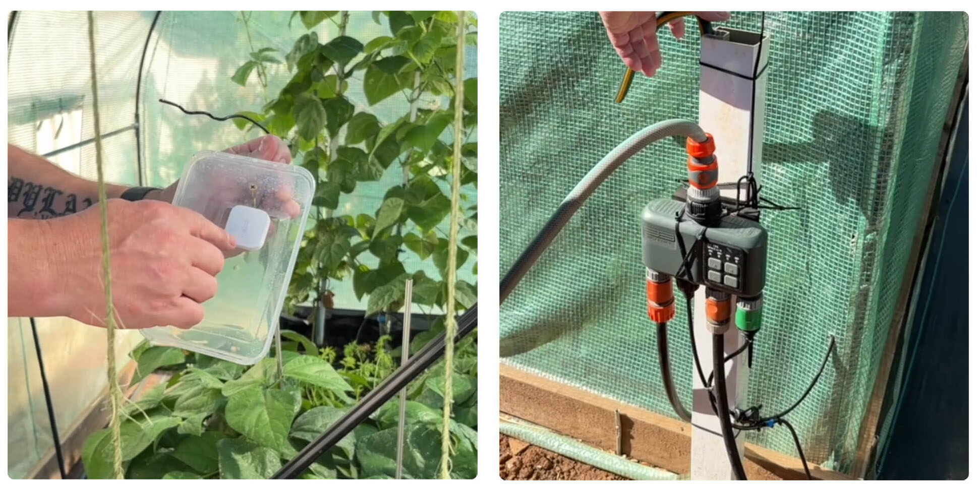 Temperature Sensor and Irrigation System Ronald Peters