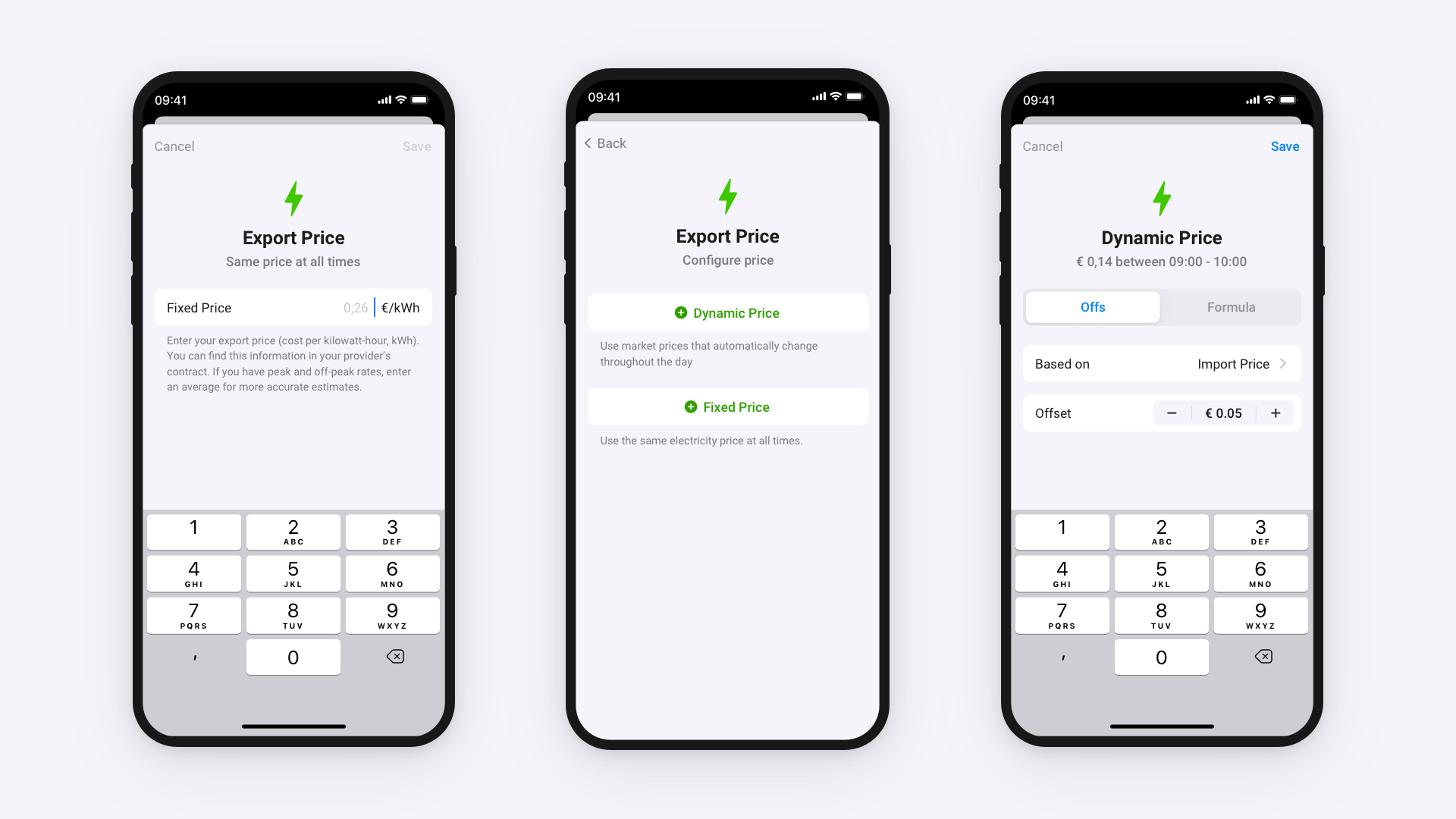 Export pricing in the Homey app: fixed price, dynamic price, and offset configuration.