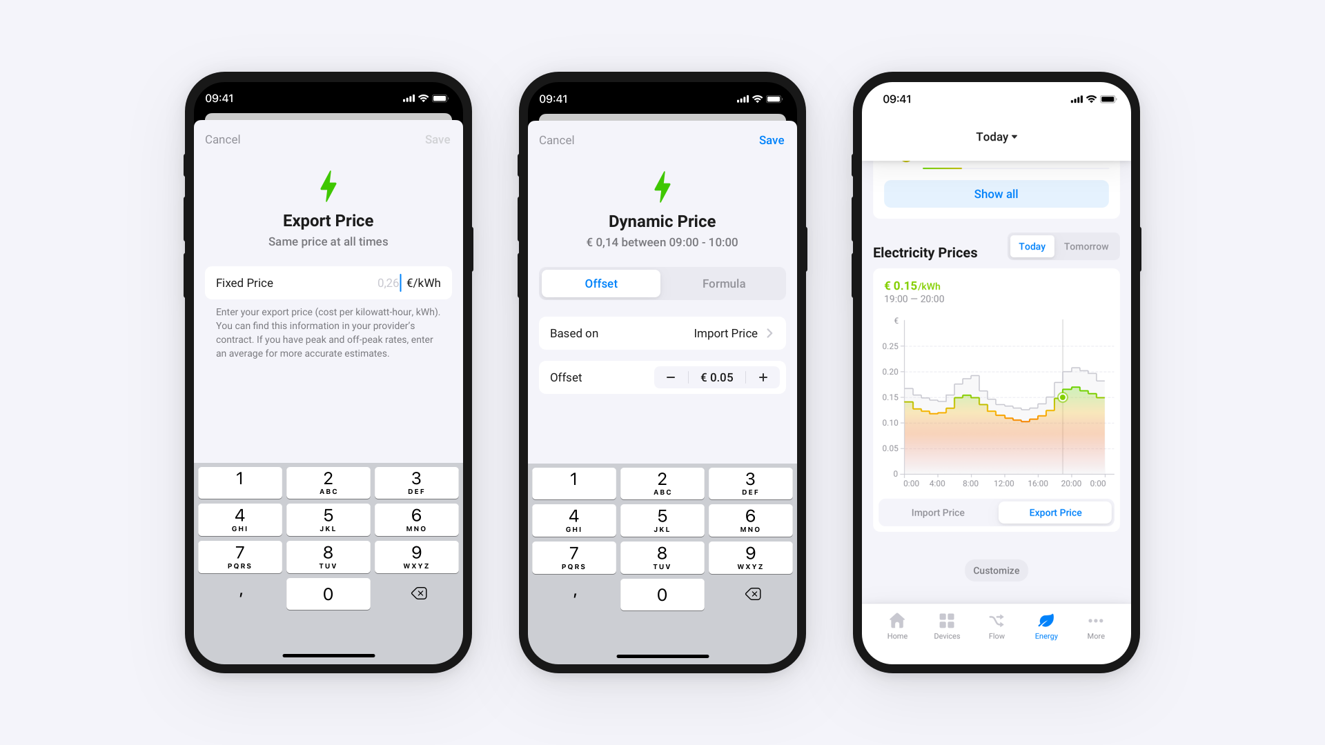 Homey Mobile App showing Fixed Price, Dynamic Price, and Electricity Prices screens for export pricing.